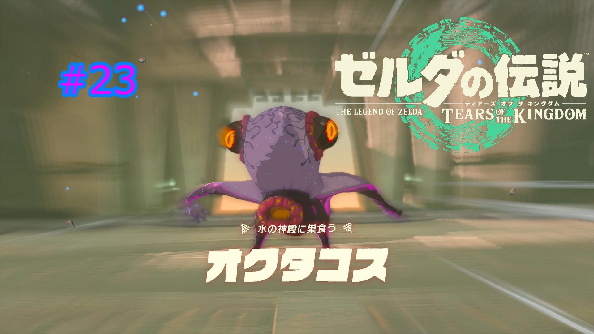 ゼルダの伝説 ティアキン #23 オクタコス ティアーズ オブ ザ