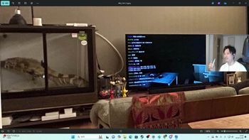 布団ちゃんの配信のサムネイル画像