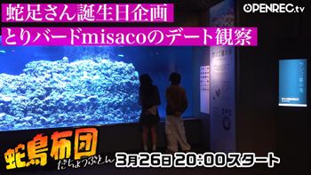 蛇鳥布団の配信のサムネイル画像