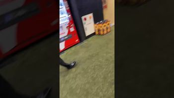 石川典行の配信のサムネイル画像