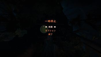 どくだみの配信のサムネイル画像