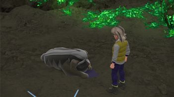 とりバードの配信のサムネイル画像