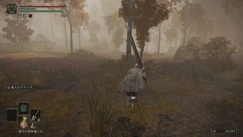 らむの配信のサムネイル画像