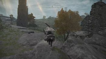 らむの配信のサムネイル画像