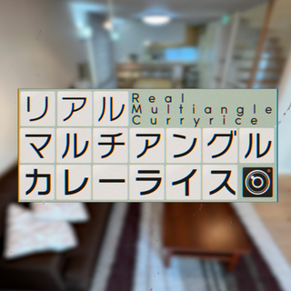 リアルマルチアングルカレーライス