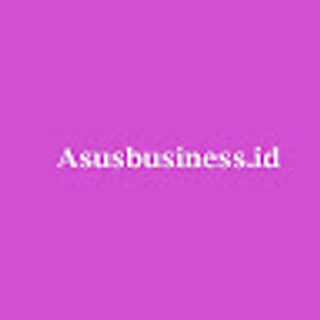 Asus Busines