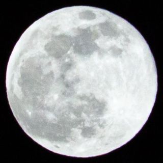 みほながた