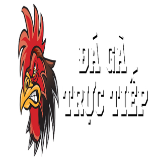 Da Ga Truc Tiep