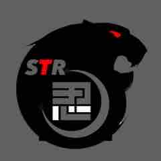 シノブタイガー🐯