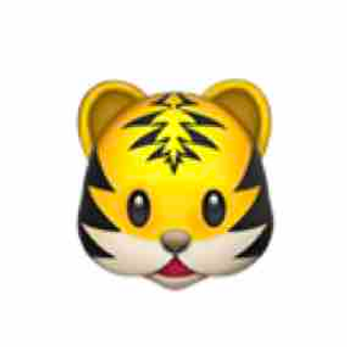 超越タイガース