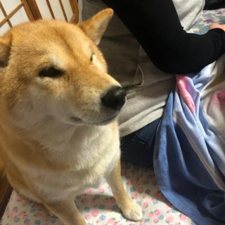 ブラックバイオ