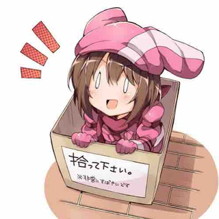 崎陽軒のシウマイ