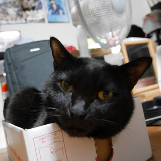 ぺぺ