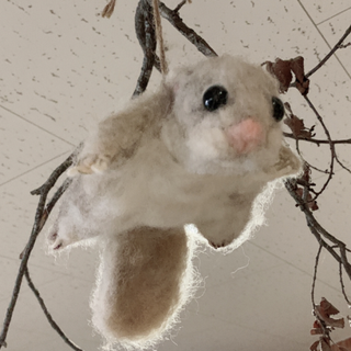 ねぎ