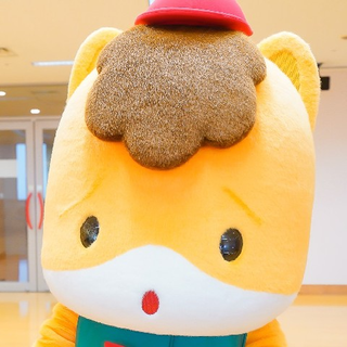 宮子
